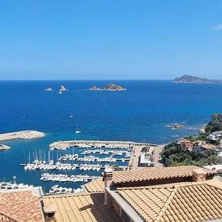 Blu Navarrese 1
